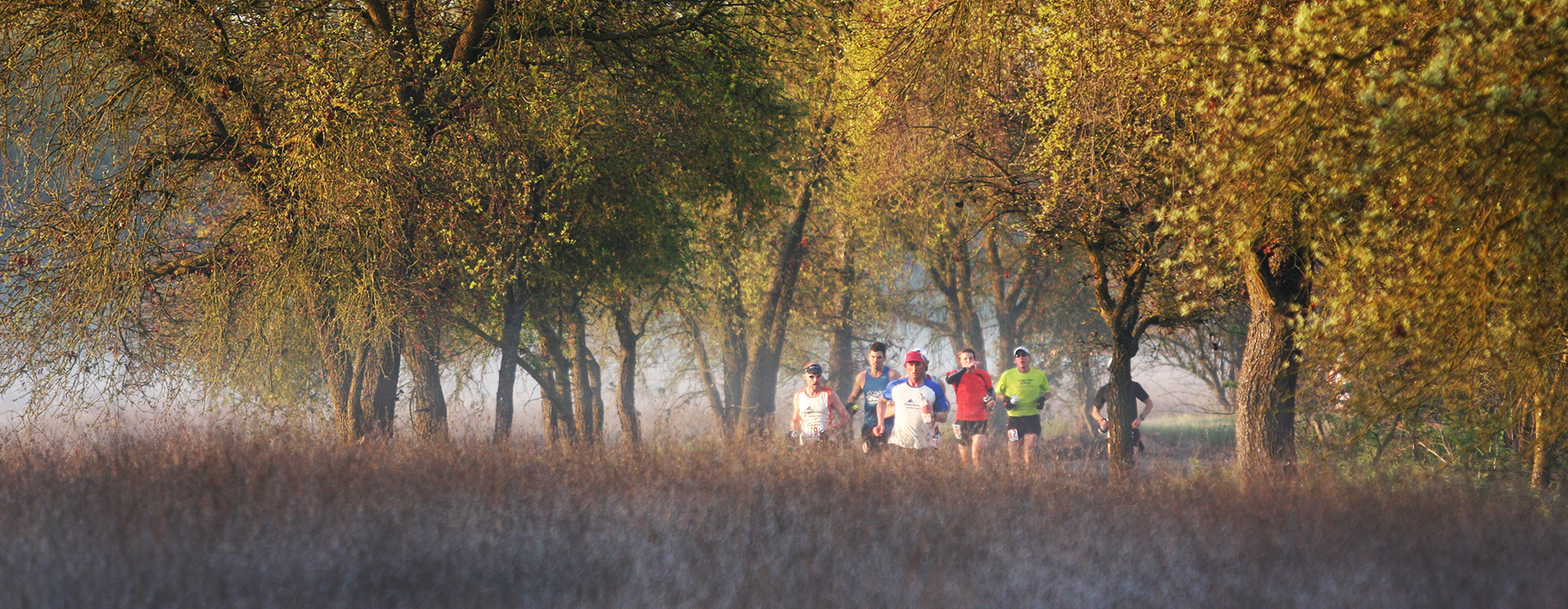 lead pack